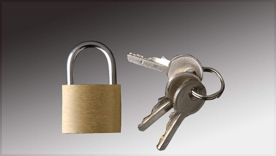 Picture for category Brass Padlock 20 mm